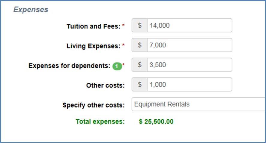 Expenses Section on Financial Information Page