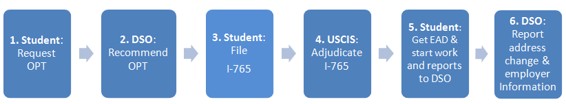 OPT Process at a Glance