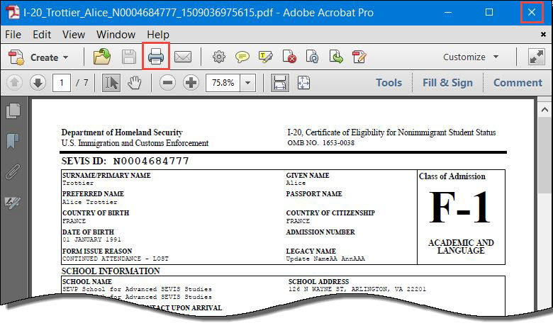 Screenshot of Form I-20 in PDF Format