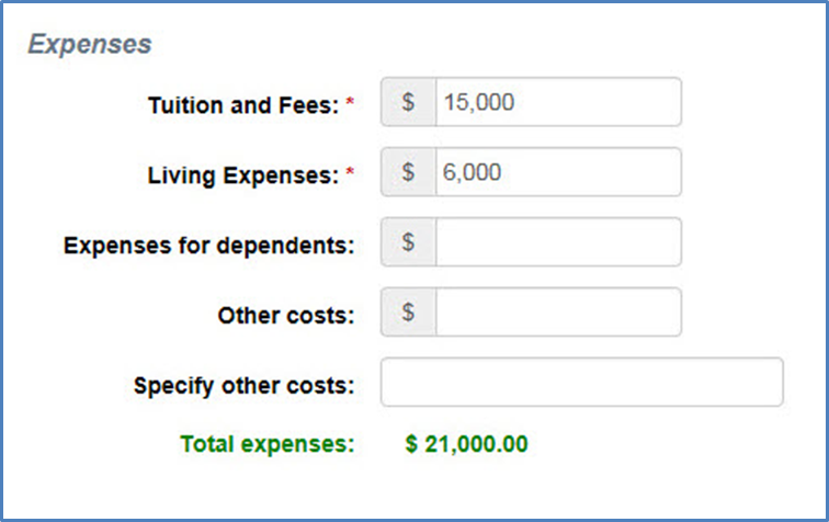 Expenses Section