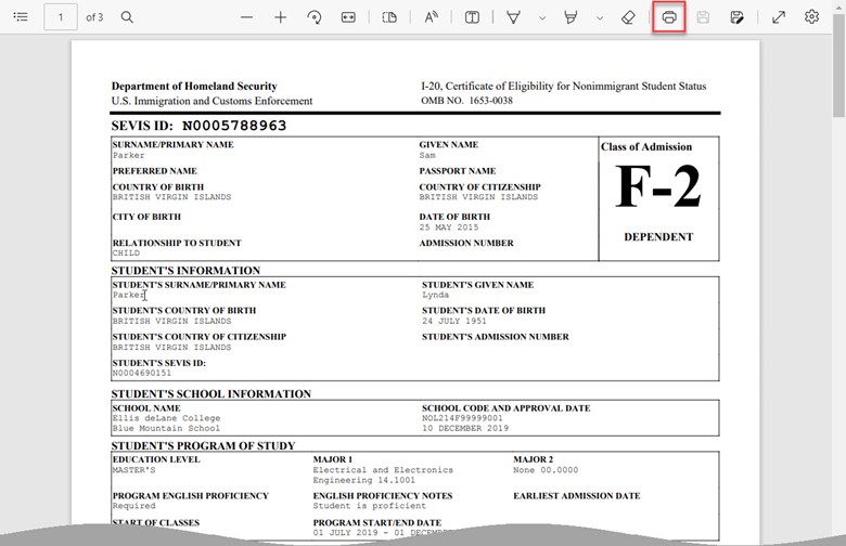 Screenshot of the Dependent Form I-20 PDF