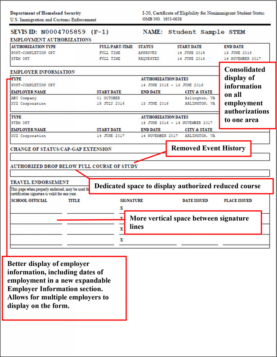 Форма 20 образец. Как выглядит форма i20. I-20 form. Форма i-20 для визы. Пример формы i20.