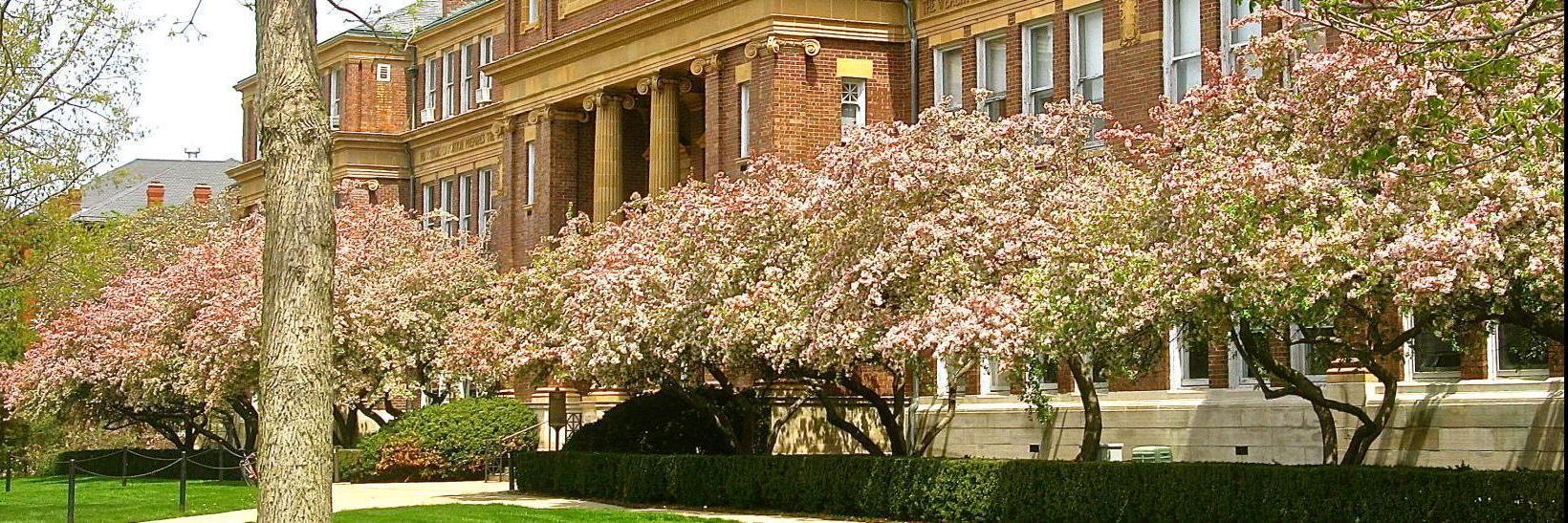 Photo of campus building