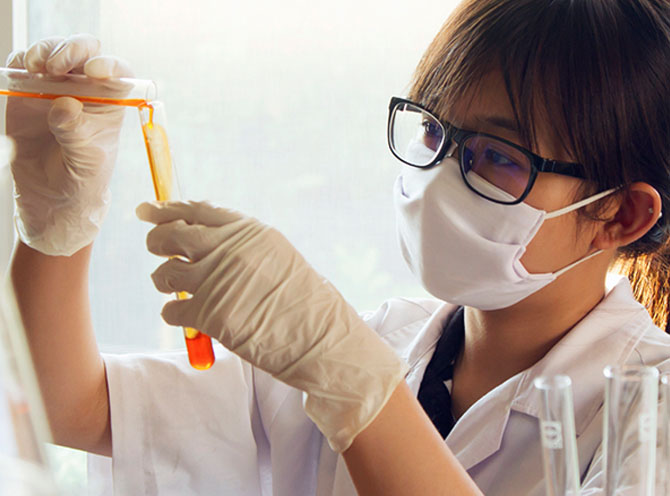 STEM OPT Study In The States