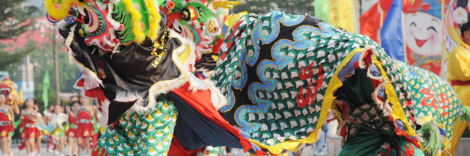 Chinese new year costumes