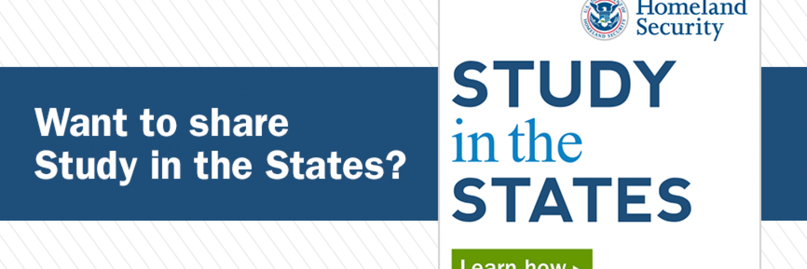 Study in the States Widget