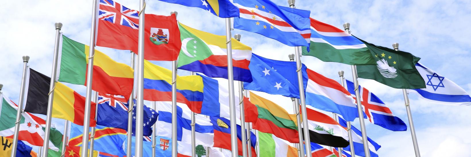 international flags