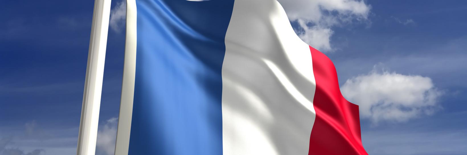 Learn more about French students in the United States.