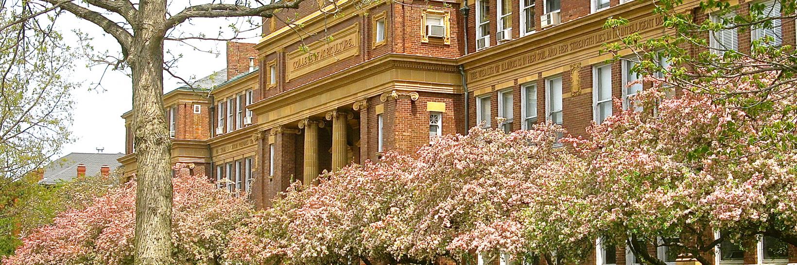 campus