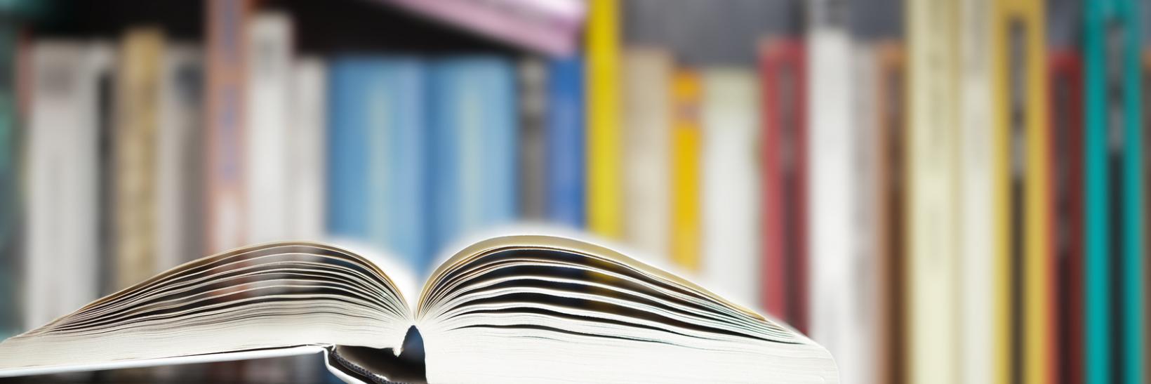 Books on a shelf.