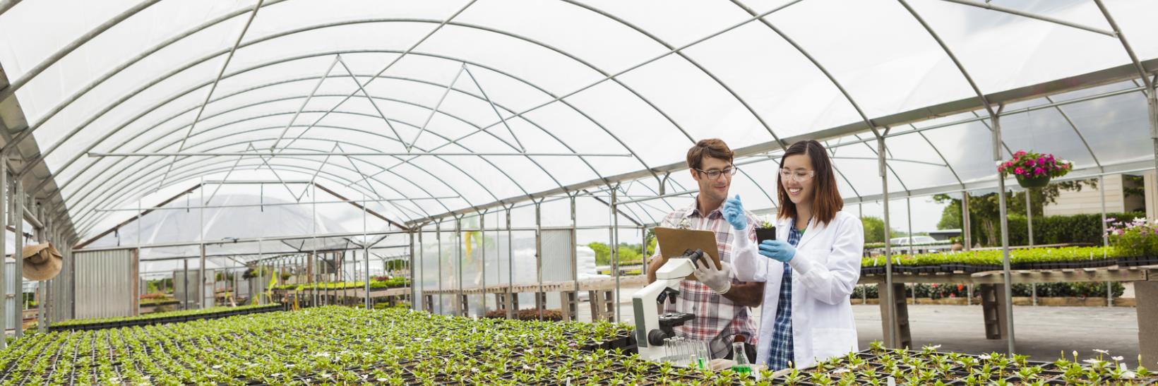 Botanists working in a lab.