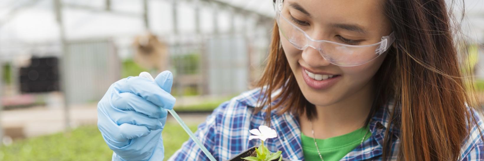 College student working on botany.