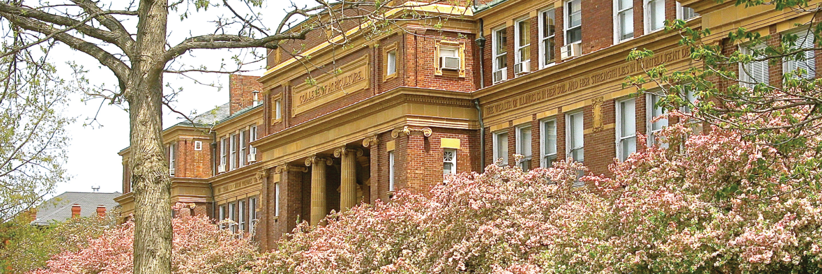 Photo of campus building