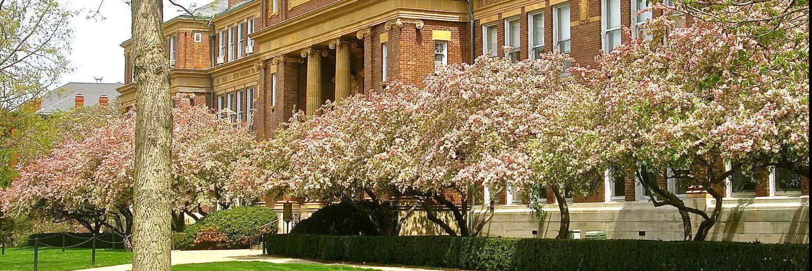 Photo of campus building