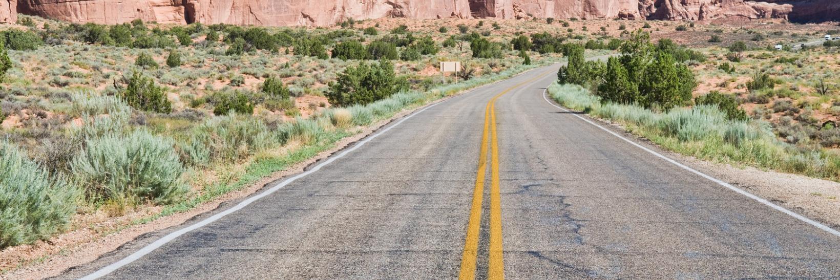 The road in the desert. 