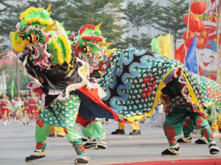 Chinese new year costumes