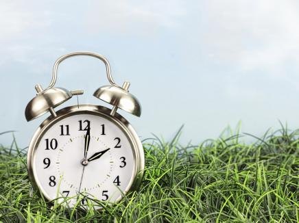 clock in a field of grass