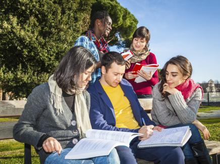 students studying at a park