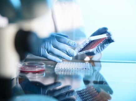 Scientist holding petri dish