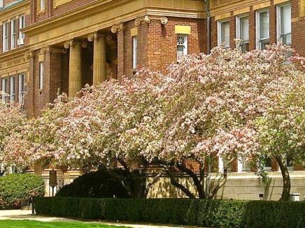 Photo of campus building