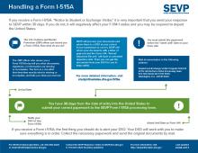 image for Handling a Form I-515A