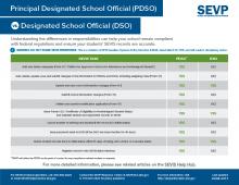 image of Principal Designated Official (PDSO) vs. Designated School Official (DSO)