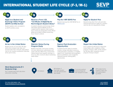 Screenshot of the International Student Life Cycle Infographic