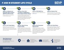 Screenshot of the International Student Life Cycle Infographic